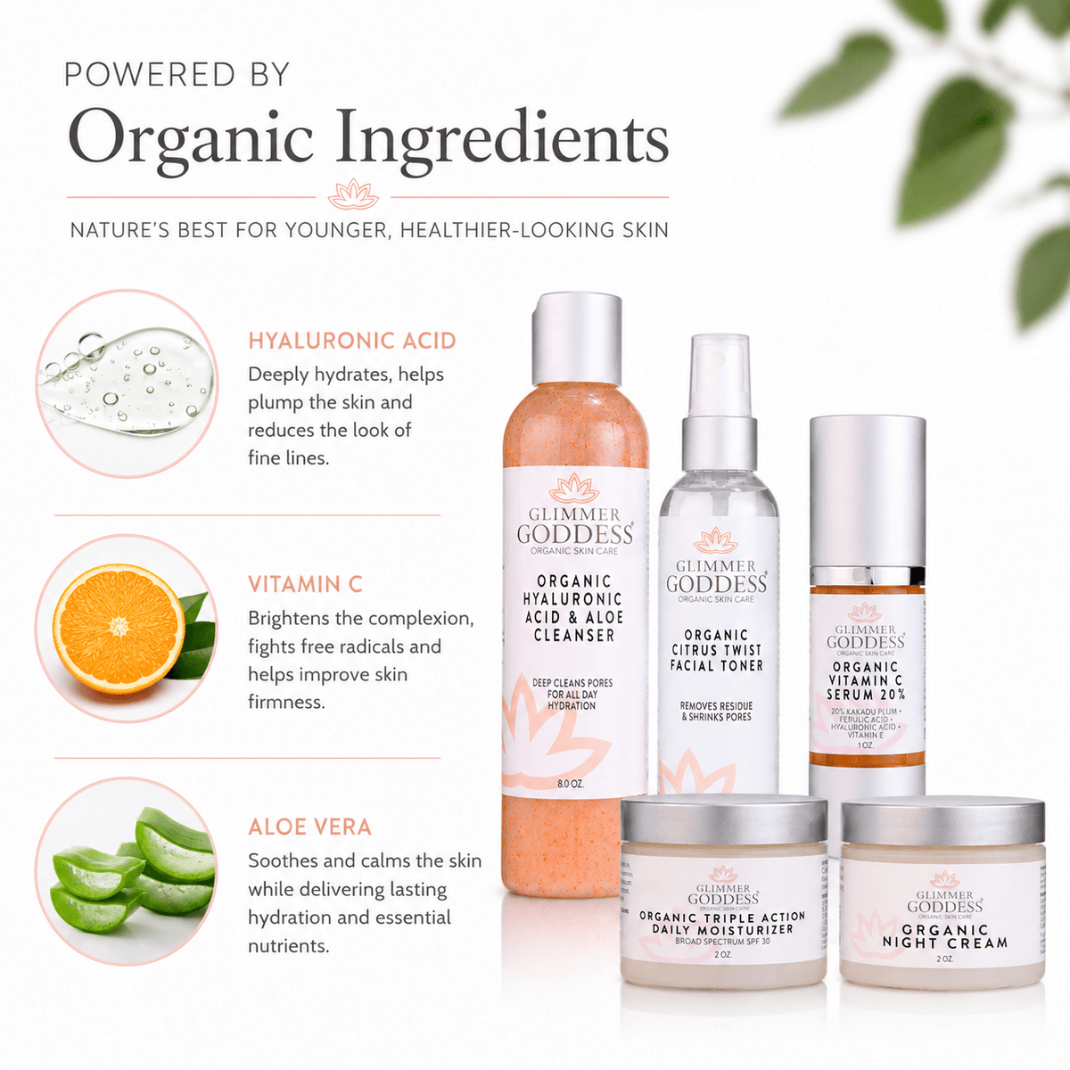 Complete Organic Anti-Wrinkle 5-Step Kit with Vitamin C & SPF 30 - Mimi Glow